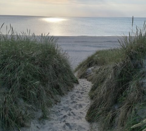 Sylt „Nord-Ost“
